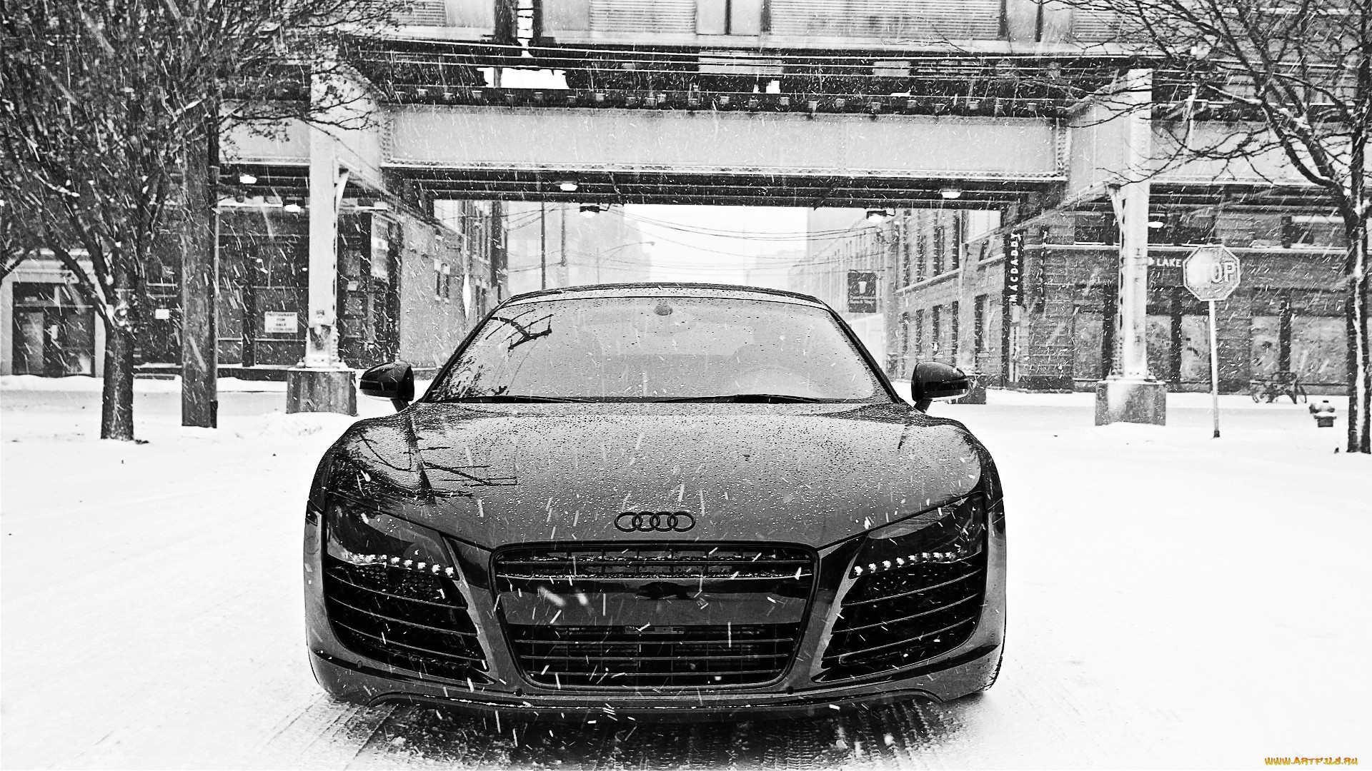 , audi, r8